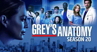 Anatomia lui Grey Sezonul 20